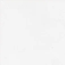 WhatsApp Image 2026 03 22 at 10.32.27