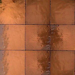 ZC243 Bronze 1